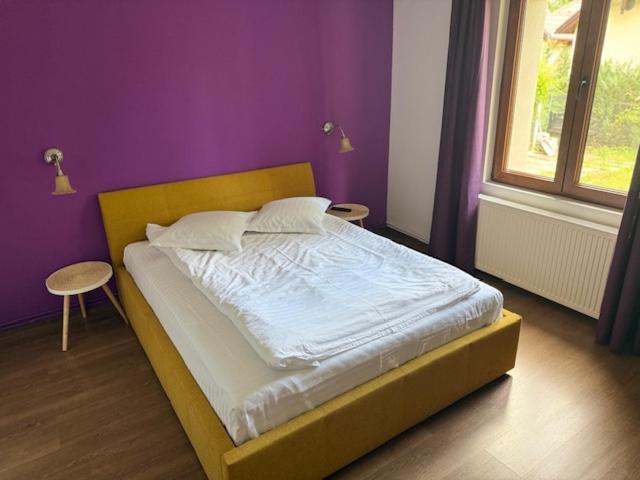 Apartment Drumul Poienii *